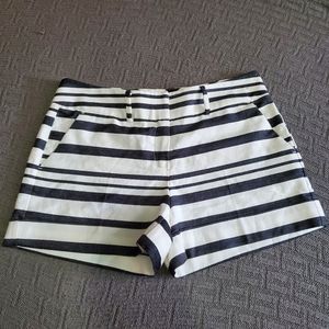 7th Ave New York and Company black & white shorts